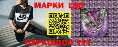 шишки Лесосибирск