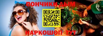 шишки Лесосибирск