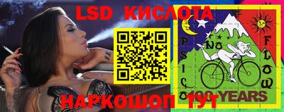 шишки Лесосибирск