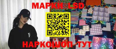 шишки Лесосибирск