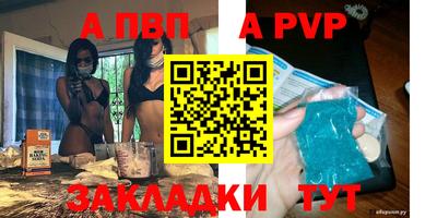 шишки Лесосибирск
