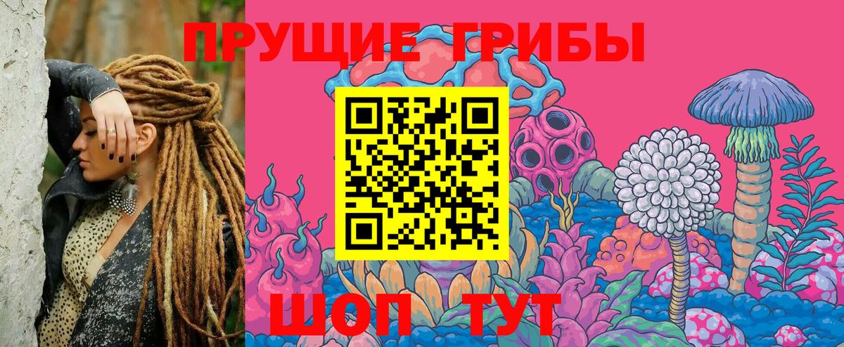 Иваново  Псилоцибиновые грибы MAGIC MUSHROOMS  купить наркотик  Псилоцибиновые грибы GOLDEN TEACHER  Вход с VPN 